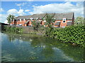 Houses on Beehive Walk, Tipton Green