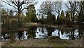 Top Common Ponds, Chorleywood Common