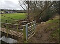 Footbridge over Piddle Brook