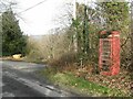 Re-wilding in Nant-y-Rhiw