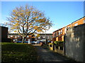 Footpath to Montague Street, Aston