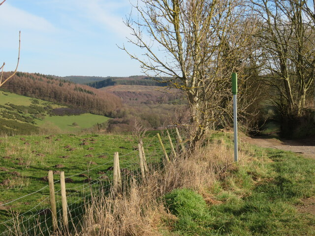 Footpath post at the edge of the dale
