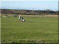 Newbiggin Golf Club course