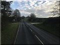 Cattle crossing sign on A390