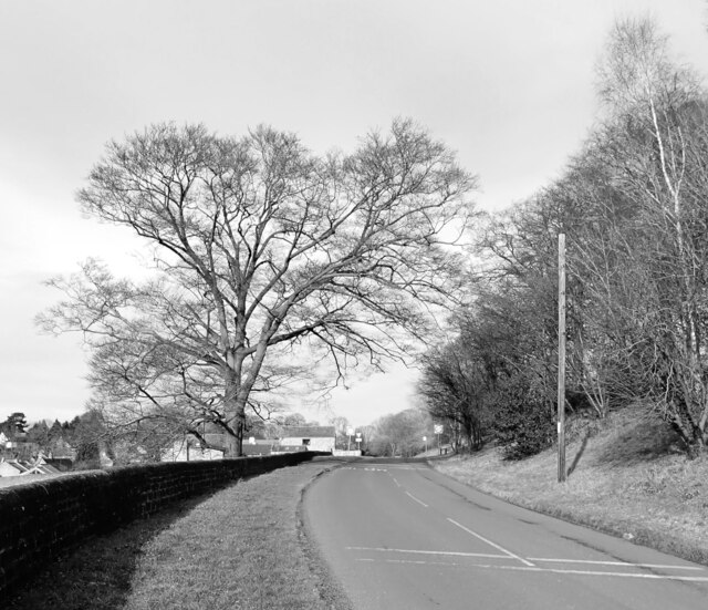 farnham-lane-farnham-habiloid-geograph-britain-and-ireland