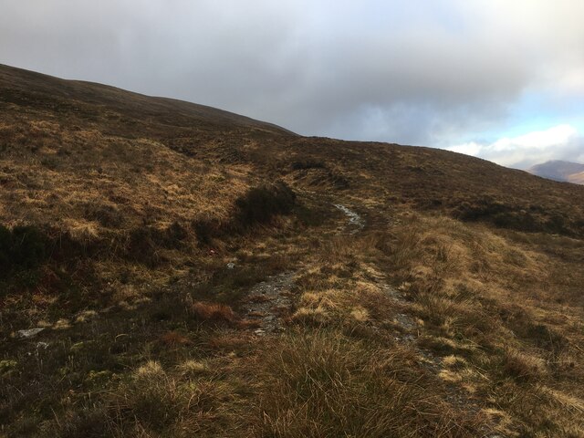 Hill track above Blaich