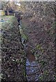 Upstream along a brook, Dixton, Monmouth