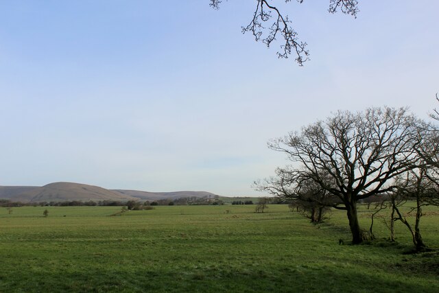 Pasture off Stoney Lane
