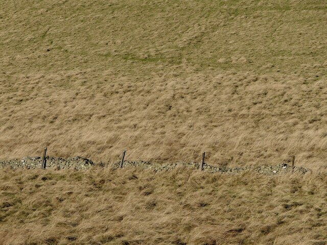 Dyke and fence, White Law