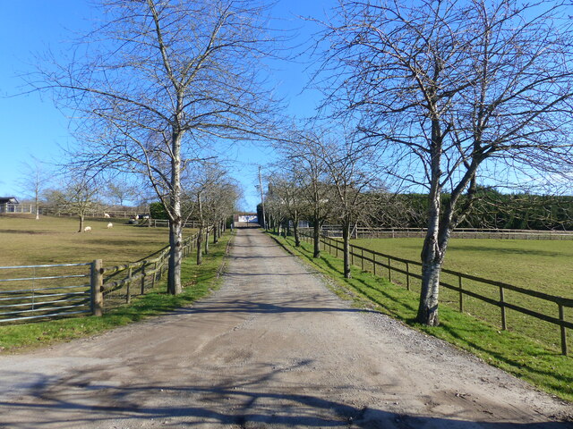 Track to Great House Farm, Gwehelog