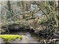 Winding stream stream near Vaynor Cottage