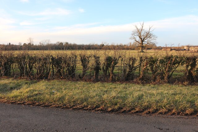Field by Longcot Road, Shrivenham