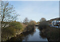 The River Colne seen from the footbridge near the John Smith