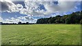 Halsey Field, Chiltern Nature Reserve