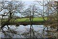 Pond near Park Head