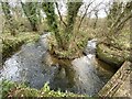 Stream junction at Pant y Gignog