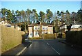 Houses on Stirling Avenue