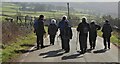 Walkers in the winter sun