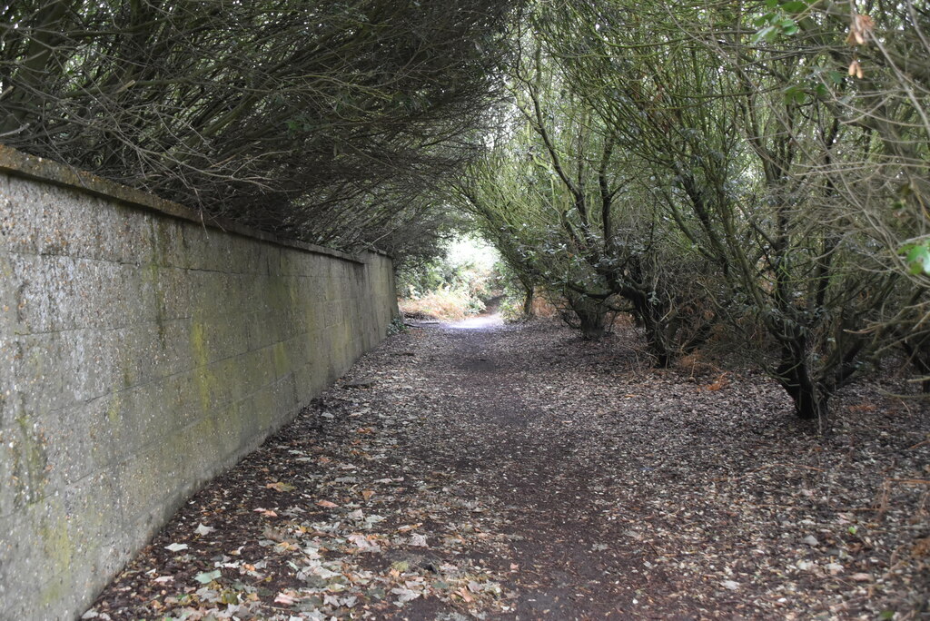 suffolk-coast-path-n-chadwick-cc-by-sa-2-0-geograph-britain-and