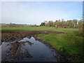 Field on Knowl Bank