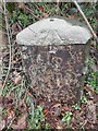 Milestone - Carmarthen 2