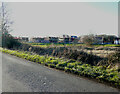 Sevington Lakes from Cheeseman?s Green Lane