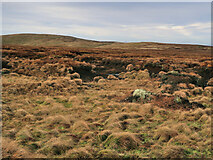 NN8801 : Peat haggs on Craighorn by wrobison