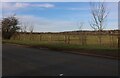 Field by Lamborough Hill, Wootton