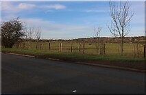 SP4700 : Field by Lamborough Hill, Wootton by David Howard