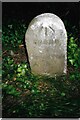 ST2714 : Old Milestone by road, Dommett Moor, Northeast of Buckland St Mary by JR Dowding