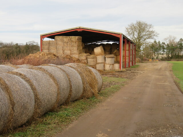 Straw bales by a farm track