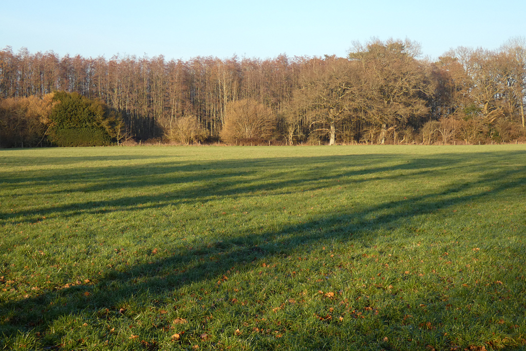 Pasture And Woodland, Burghclere © Andrew Smith Cc-by-sa/2.0 ...