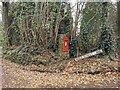 Postbox at West Street Lane