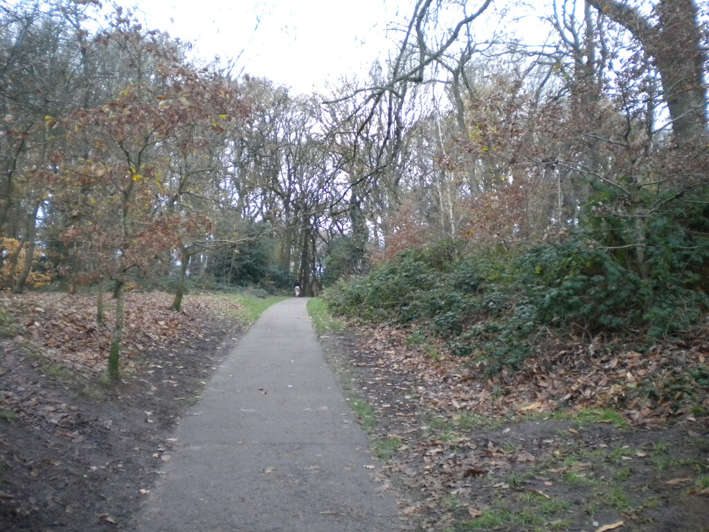 Footpath Into Warley Woods Bearwood © Richard Vince Geograph Britain And Ireland 7697