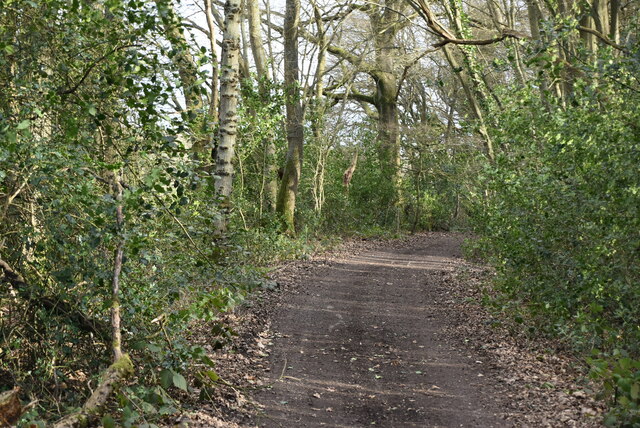 Byway, Nickley Wood © N Chadwick :: Geograph Britain and Ireland