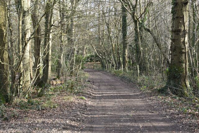 Byway, Nickley Wood © N Chadwick cc-by-sa/2.0 :: Geograph Britain and ...