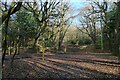 Bridleway Crossing, Lympstone Common