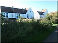 Houses in Derwent Mews, Derwenthorpe