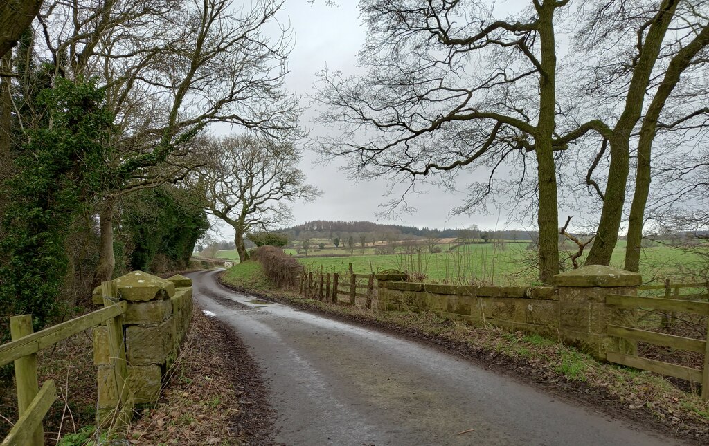 Nether Silton, Bridge Beck Lane © Mel Towler :: Geograph Britain and ...