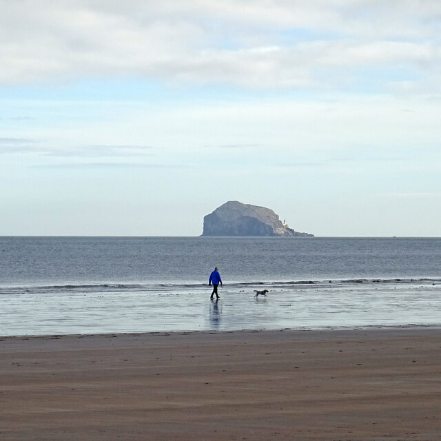 one-man-and-his-dog-adam-ward-cc-by-sa-2-0-geograph-britain-and