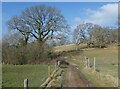 Track to Clarkham Cross