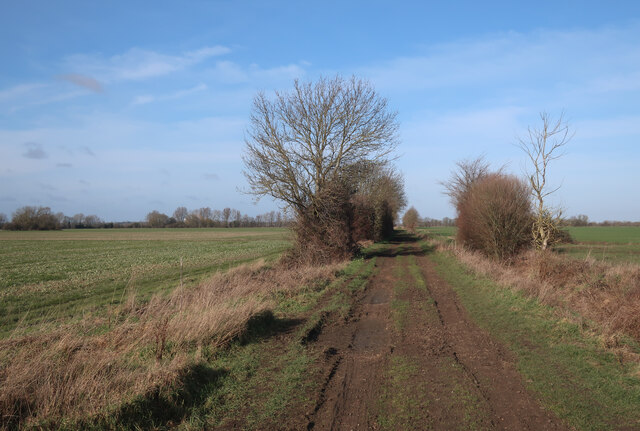 Middle Way © Hugh Venables :: Geograph Britain and Ireland