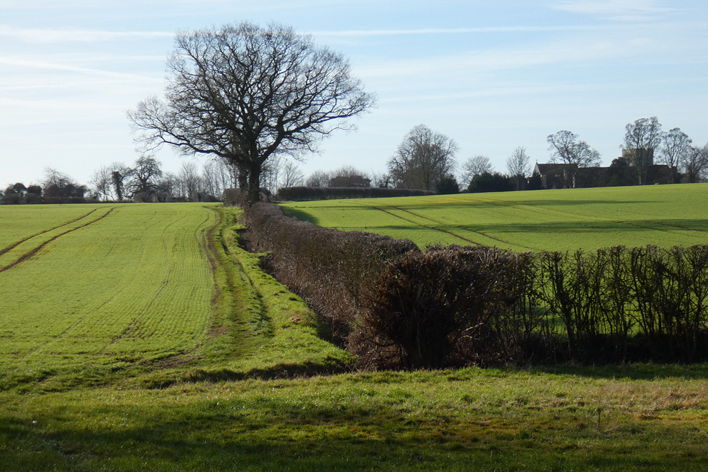 Farmland, Great Haseley © Andrew Smith Geograph Britain and Ireland