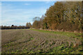 Farmland, Great Haseley