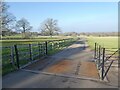 Cattle grid in Melbury Park