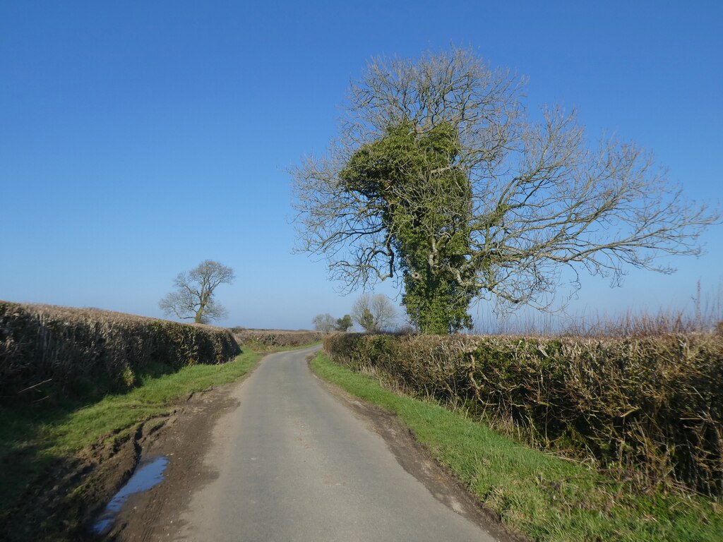 Minor Road To Evershot © Roger Cornfoot Cc By Sa20 Geograph Britain And Ireland