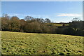 Footpath across field