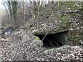 Enclosed spring / well in woodland