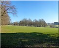 Old House Field/Front Meadow