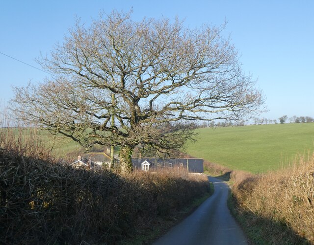 Descending Rampisham Hill © Roger Cornfoot :: Geograph Britain and Ireland